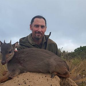 South Africa Blue Duiker Hunt