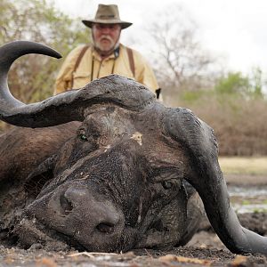 Buffalo Another Great Old Dagga Boy - Very Happy Client