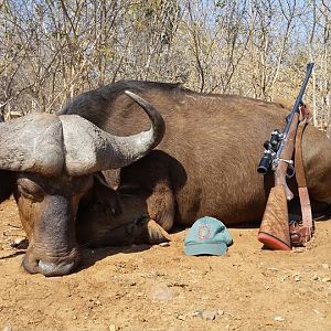 Hunting Buffalo in South Africa