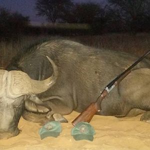 Hunting Buffalo in South Africa