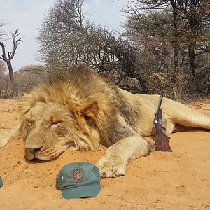 Lion Hunting South Africa