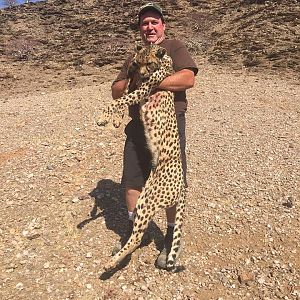 Cheetah Hunt Namibia