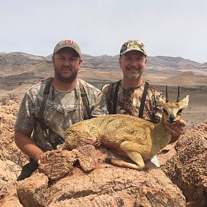 Klipspringer Hunt Namibia