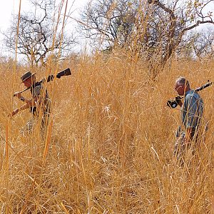 Tracking buffalo on Mbizi...