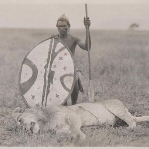 Maasai Lion Hunt