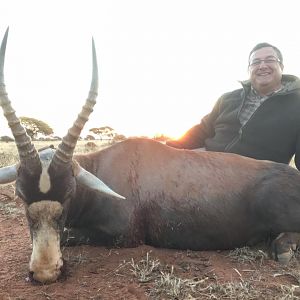 South Africa Blesbuck Hunt