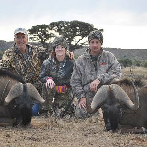 Black Wildebeest Hunting in South Africa