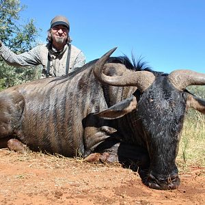 Blue Wildebeest Hunting in South Africa