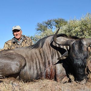 Blue Wildebeest Hunting in South Africa