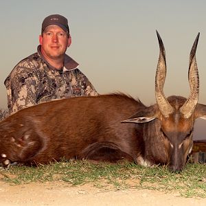 South Africa Hunting Bushbuck