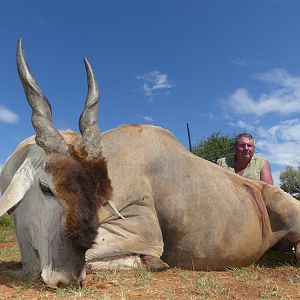 Hunting Eland South Africa