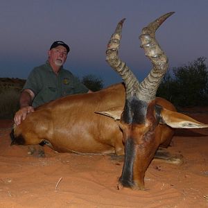 Red Hartebeest Hunting in South Africa