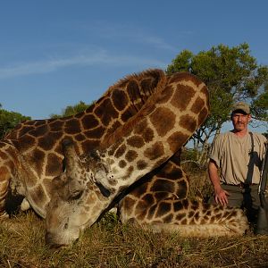 Hunting Giraffe in South Africa