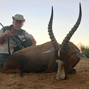 Hunting Blesbuck in South Africa