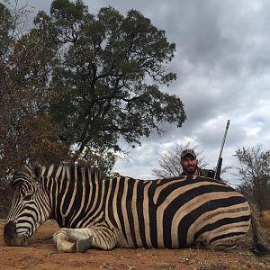 Zebra Hunt South Africa