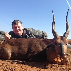 South Africa Hunting Bushbuck