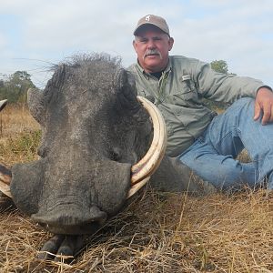 Warthog Hunt