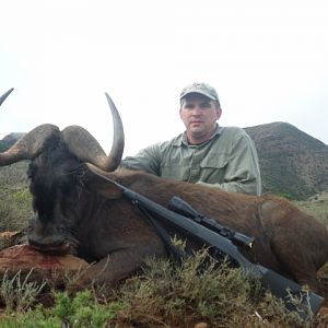 Hunting South Africa Black Wildebeest