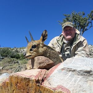 Hunting Klipspringer South Africa