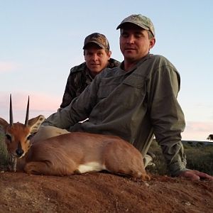 South Africa Steenbok Hunting
