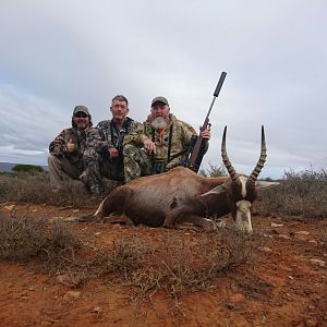 South Africa Blesbok Hunt