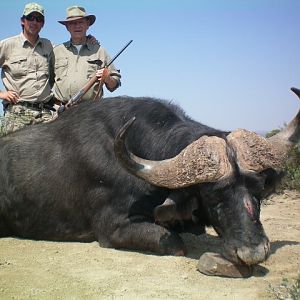 Hunting Buffalo