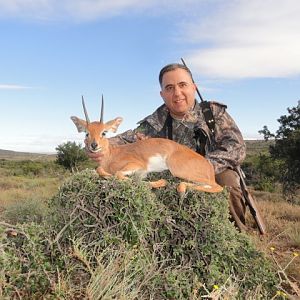 Steenbok Hunting