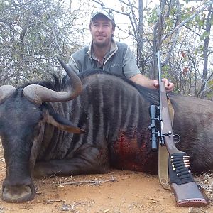 Blue Wildebeest Cull Hunting in South Africa