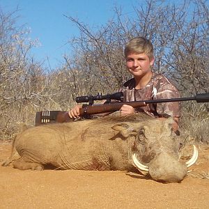 Cull Hunting Warthog in South Africa
