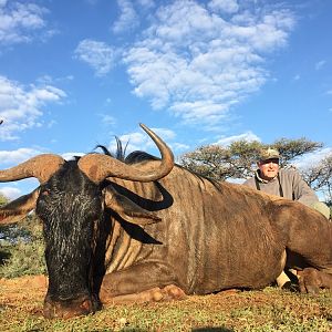 Blue Wildebeest Hunting in South Africa