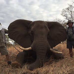 Elephant Hunting Zimbabwe