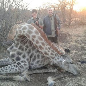 Giraffe Hunting in Zimbabwe