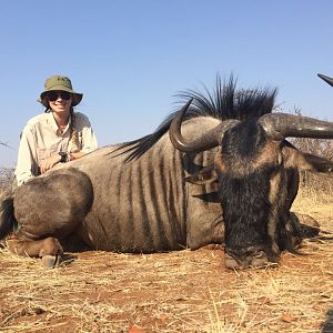 Zimbabwe Blue Wildebeest Hunting