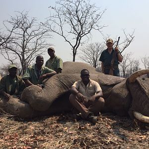 Elephant Hunting Zimbabwe