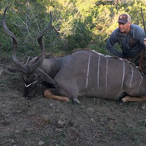 Cape Kudu