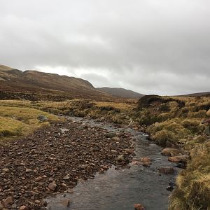 Spean Bridge Scotland - Stalking hinds using riverbed for cover