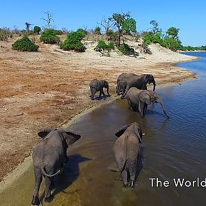 Botswana From The Air: Stunning Drone Footage in Africa
