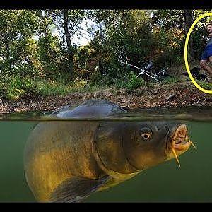 Top 17 Shocking Fishing Moments 2016 (Monster,Fish,Crazy,Catfish,Funny)