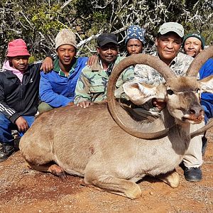 Unusual Kudu Trophy