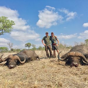 Buffalo Hunt Mozambique