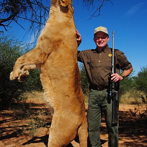 Another monster Lioness