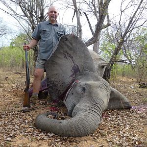 Hunting Tuskless Elephant Zimbabwe