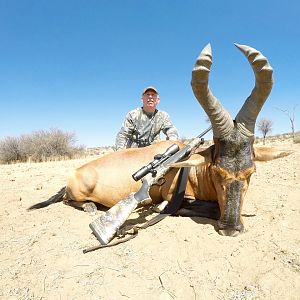 Red Hartebeest Hunting in Namibia