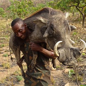 Warthog Hunting Benin