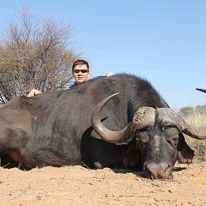 Buffalo Hunting in the Kalahari