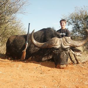 Buffalo Hunting in the Kalahari
