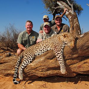 Hunting Leopard in the Kalahari