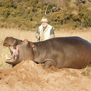 Hippo Hunting