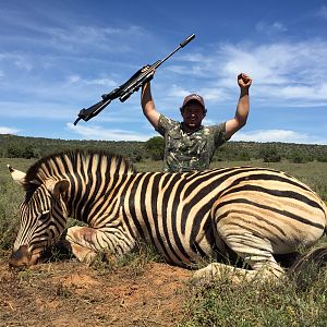 Zebra Hunt South Africa