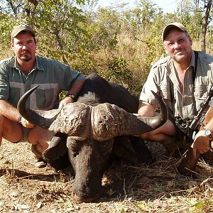 Buffalo Hunt Zimbabwe